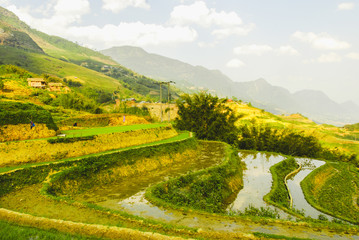 Fototapeta premium Scenic view of Y Linh Ho valley with rice terraces surrounded with mountains by Sapa, Vietnam 