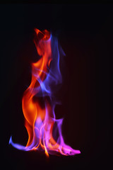 Multi Color Fire Flame Abstract on black background. A mystic colorful smoke. Blurry bright...