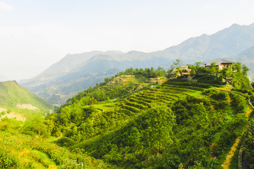 Panoramic view of Y Linh Ho valley with rice terraces surrounded with mountains by Sapa, Vietnam 