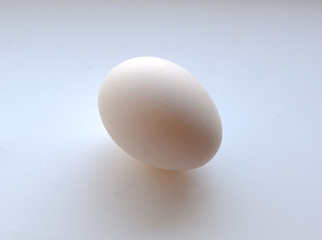 natural chicken egg on a white background