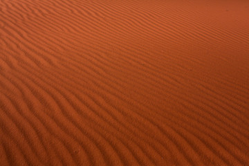 Wadi Rum Desert in Jordan. On the Sunset. Panorama of beautiful sand pattern on the dune. Desert landscape in Jordan.