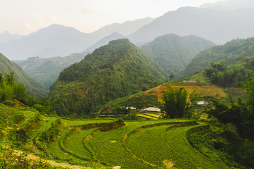 Fototapeta premium Scenery of valley with rice terraces surrounded with mountains of Sapa, Vietnam 