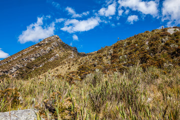 Beautiful landscape of Colombian Andean mountains showing paramo type vegetation in the department of Cundinamarca