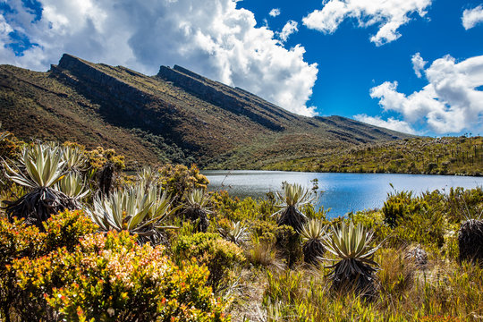 Beautiful landscape of Colombian Andean mountains showing paramo type vegetation in the department of Cundinamarca