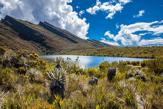 Beautiful landscape of Colombian Andean mountains showing paramo type vegetation in the department of Cundinamarca
