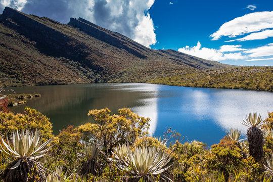 Beautiful landscape of Colombian Andean mountains showing paramo type vegetation in the department of Cundinamarca
