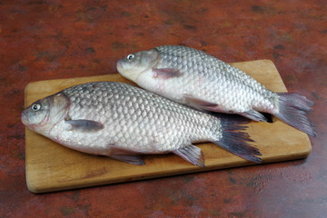 crucian fish lying on the table top view