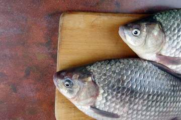 crucian fish lying on the table top view