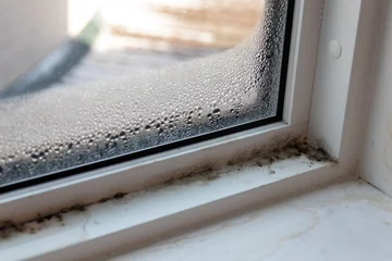 Fotobehang Moist mold and fungus in window and frame © IHX