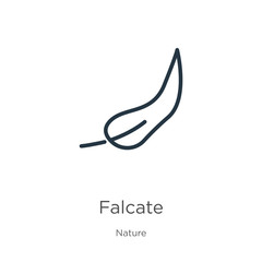 Falcate icon. Thin linear falcate outline icon isolated on white background from nature collection. Line vector sign, symbol for web and mobile