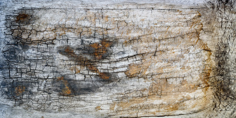 Textured wooden board with cracks and tan marks. Close-up