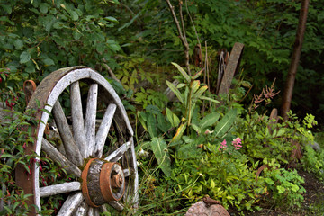 Wood wagon wheel decorates the Alaskan landscape