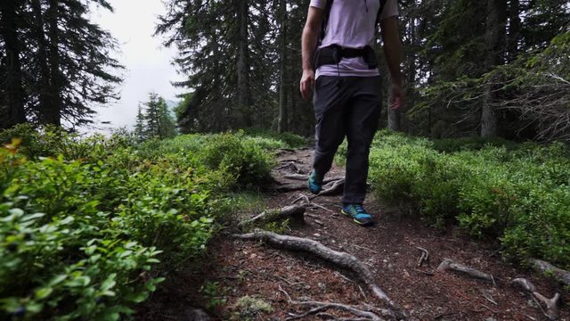 Steady shot of a man walking along the mountains, filled with lush meadows in Tirol.