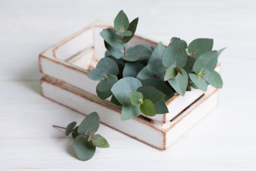 Eucalyptus branches in a box on a wooden table