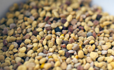 Macro close-up of bee pollen.