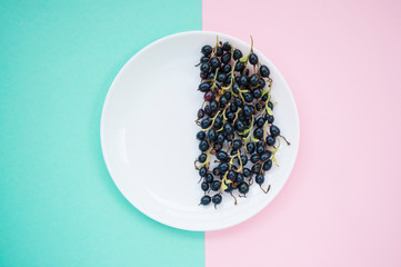 Fresh blackberries on clear white plate on pastel blue and pink background.