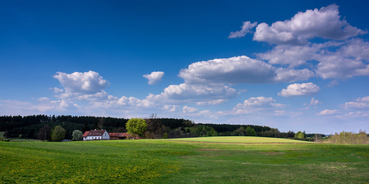 Mazury garbate 18