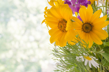 Bouquet of yellow flowers on the blurred background. Chamomile, golden daisy and chrysanthemum close-up. Greeting card template with blooming flowers and copy space. Summer time. Selective focus.