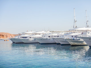 boats in harbour