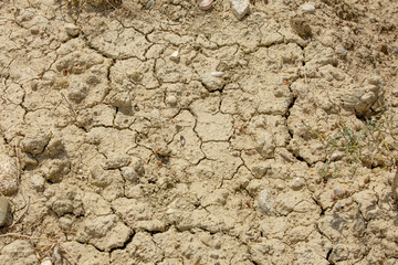 Dry down of sea  as result of human activity