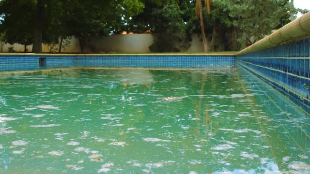 A filthy pool with bright blue tiles filled with white shock powder floating on the surface - Wide shot