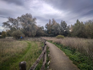 Paseo otoñal 