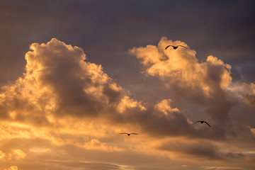 Dramatic sky with clouds