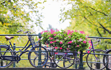 Fototapeta na wymiar Bikes lined up along a bridge over a canal in Amsterdam, with a large planter of pink flowers. 
