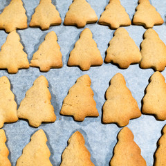 freshly baked Christmas tree-shaped cookies