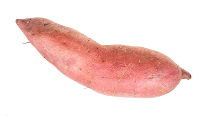 sweet potato (ipomoea batatas, batata) cutout