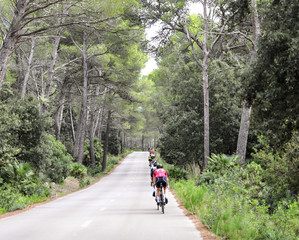 Obraz premium Cycling through a forest down a road. 