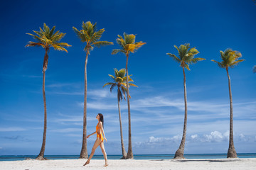 beach with palm trees