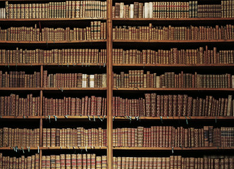 Fototapeta old books in the nationla library of Vienna. obraz