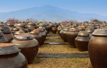 A staple in Korean cuisine, kimchi is a famous traditional side dish of salted and fermented...