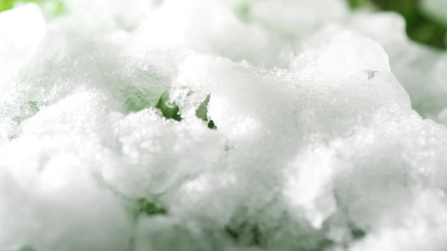 Time lapse of melting snow revealing green moss underneath. Season change from winter to spring in forest. Plants in bright sun rays. Spring water, melting ice, spring time in woodland. Zoom out