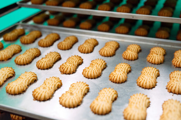Shortbread.  Production of shortbread cookies at a confectionery factory.  Shortbread cookies on a metal rack after baking in the oven.