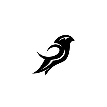 Bird logo design, vector illustration of a bird.
