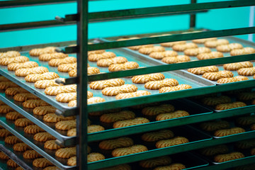 Shortbread.  Production of shortbread cookies at a confectionery factory.  Shortbread cookies on a metal rack after baking in the oven.