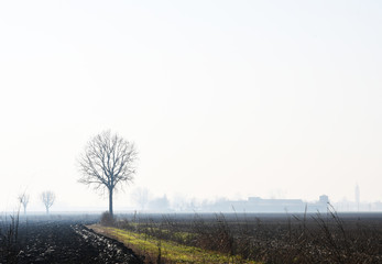  Winter landscape in the Po Valley