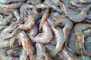 Prawn close up on fresh market