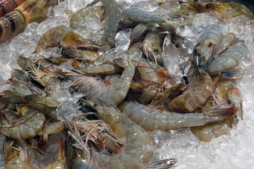 Raw prawns close up on fresh market, Bangkok, Thailand.