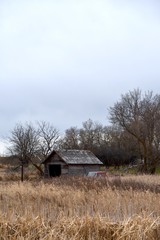 Rustic farm building