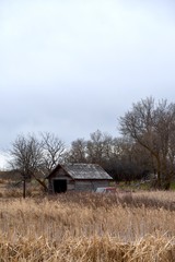 Fototapeta premium Rustic farm building