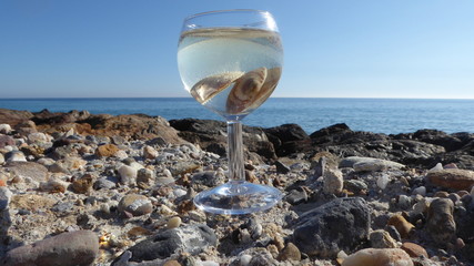 Ein Glas mit prickelndem, spanischen Schaumwein und Muscheln mit dem Mittelmeer als Kulisse