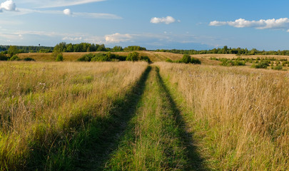 A dirt country road in the field of yellow autumn grass under a blue sky
