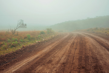 Landscape with dirt road in a foggy day