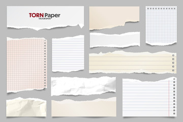 Colored ripped lined paper strips collection. Realistic paper scraps with torn edges. Sticky notes, shreds of notebook pages. Vector illustration.