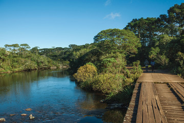 Fototapeta premium Wooden bridge over creek and trail through forest