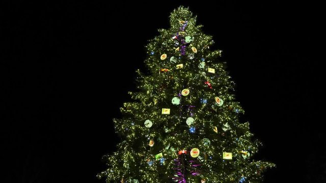STrasbourg - DEC 26, 2019: Beautiful Christmas tree on the Strasbourg Christmas market