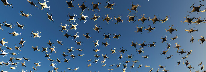 group of drones in the sky